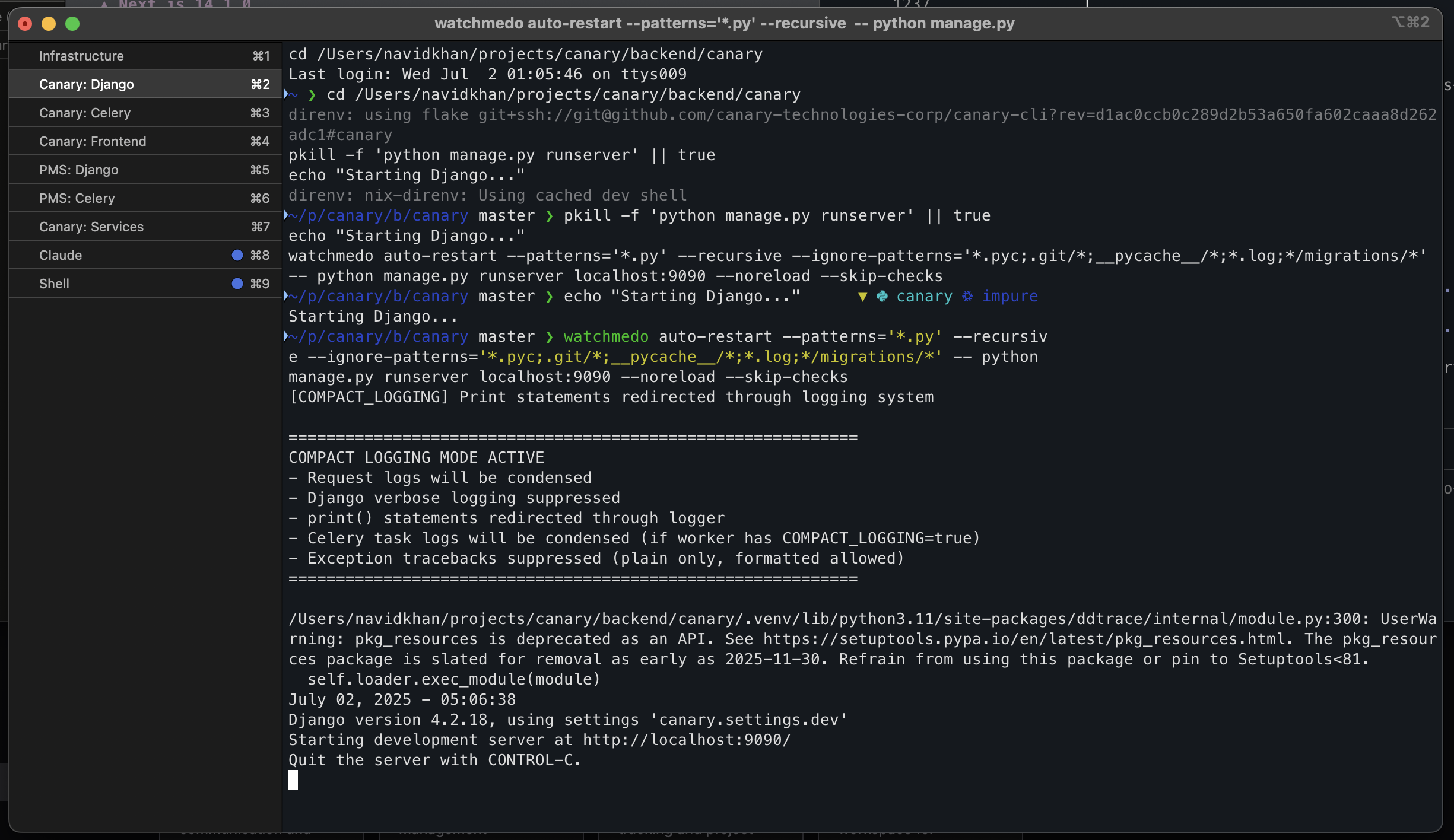 iTerm2 with all services running